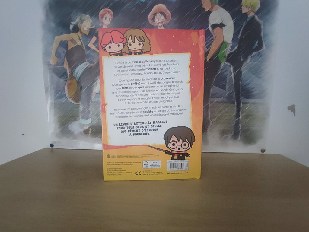 Livre d'activités Harry Potter – Quiz & Tests (Avec Squishy)