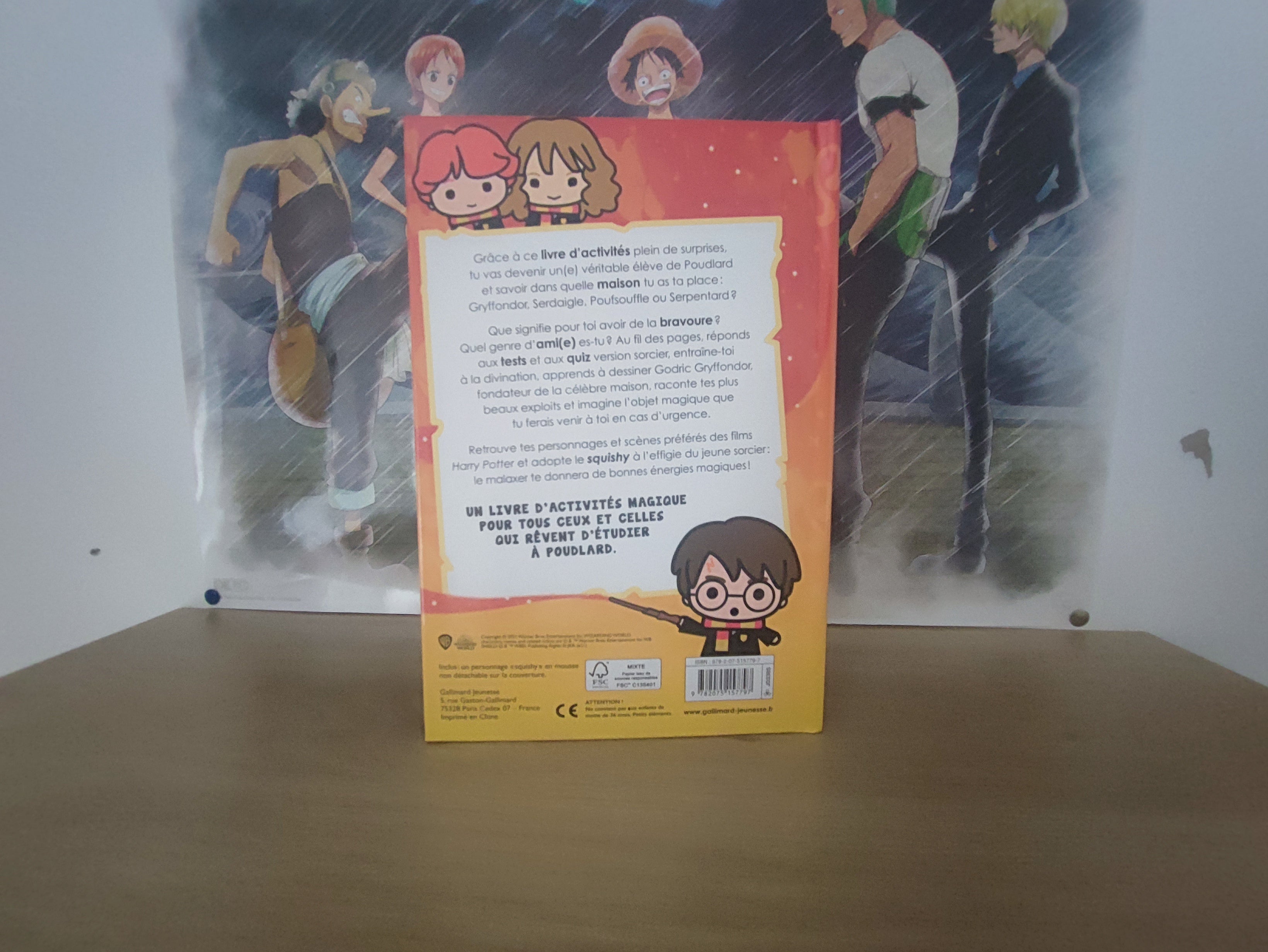 Livre d'activités Harry Potter – Quiz & Tests (Avec Squishy)
