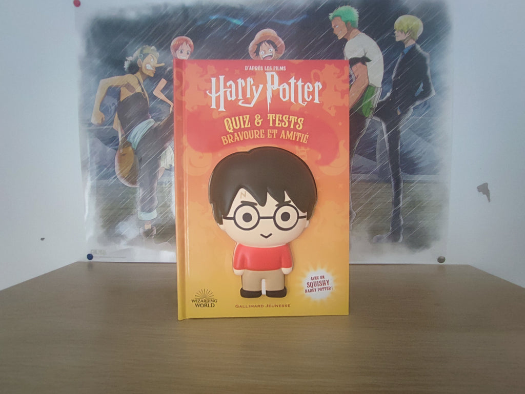 Livre d'activités Harry Potter – Quiz & Tests (Avec Squishy)